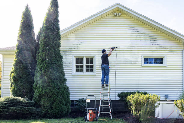 Best Window and Screen Pressure Cleaning in Baltimore Highlands, MD
